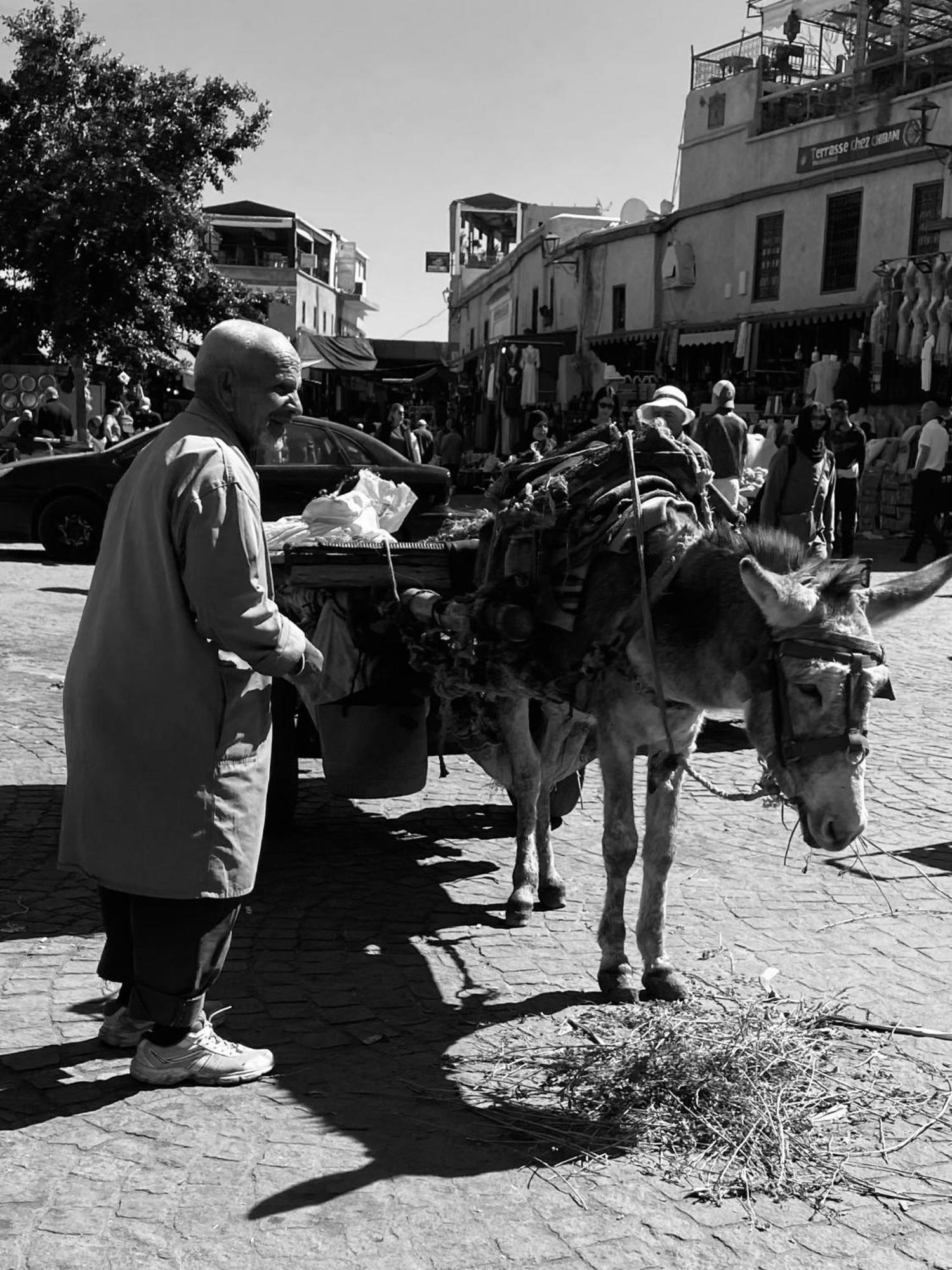 Riad Alamine Marrakesh Bagian luar foto