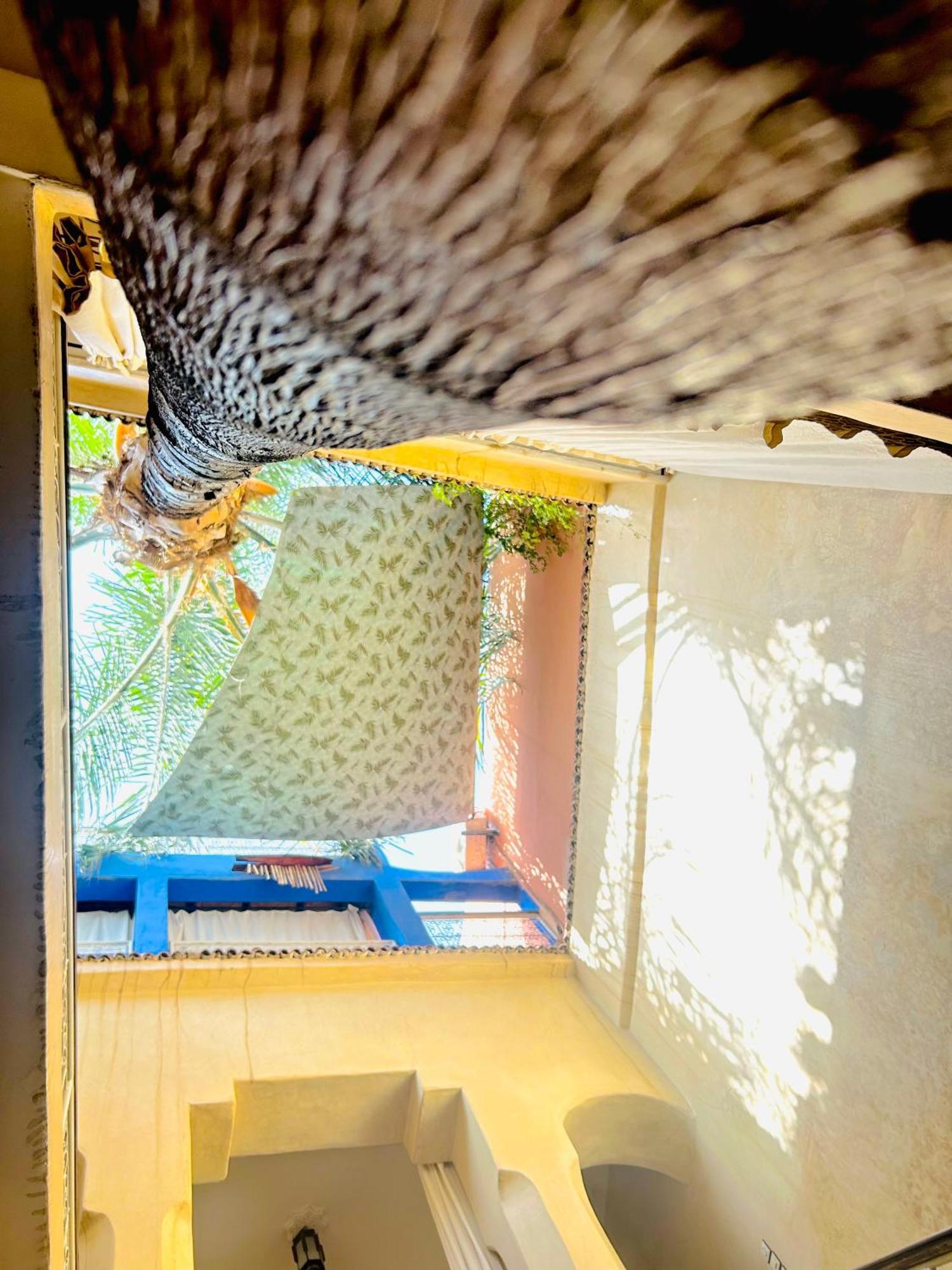 Riad Alamine Marrakesh Bagian luar foto